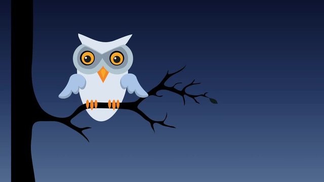 Owl sitting on tree branch at night. Retro cartoon style with flat design. Concept of nature and wisdom.