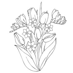 vector monochrome contour illustration of freesia tulip narcissus daffodil flowers bouquet