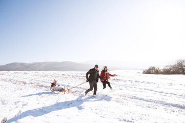 Father and mother pulling daughter on sledge, running. Winter na