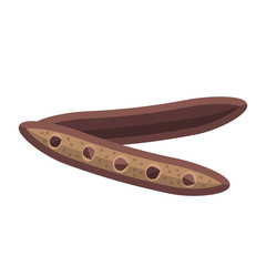 Carob beans and seeds vector illustration. Superfood locust bean