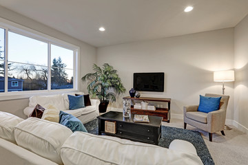 White and beige living room interior with blue accent rug