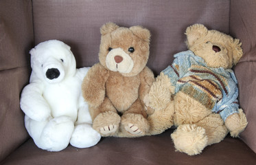 polar bear doll and brown bear doll sitting in brown box