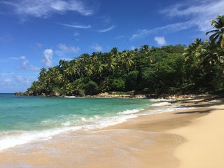 Fototapeta premium Beach