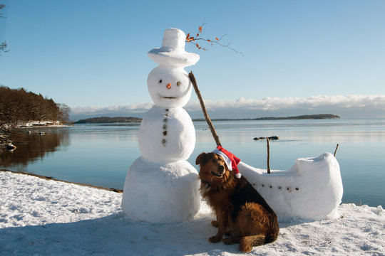Hund mit Nikolausmütze und Schneemann an der Ostsee Insel Rügen im Winter
