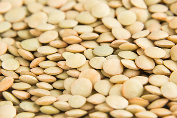 Green lentil macro background. Healthy protein food.