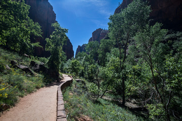 On the way to the Temple of Sinawava