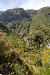 Fototapeta premium Picturesque aerial panorama of mountains and rainforest hills on Madeira island, Portugal.