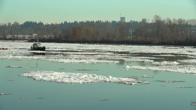 River Ice Tugboat and Logboom. 4K UHD. A tugboat towing a log boom through Fraser River ice. 4K. UHD.
