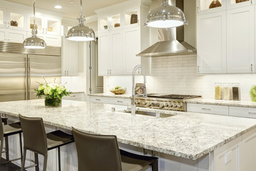White kitchen design in new luxurious home - obrazy, fototapety, plakaty