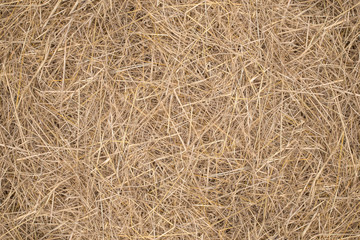 straw, dry straw, straw background texture.