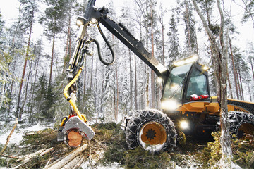 Logging vehicle carrying timber