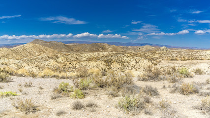 Fototapeta na wymiar spanish desert