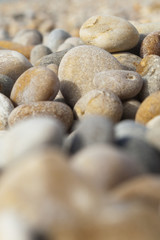 Fototapeta na wymiar Pebbles at Chesil Beach, Dorset