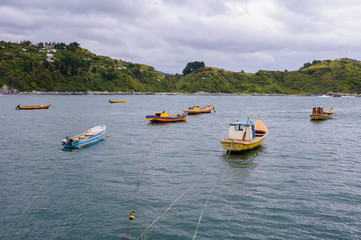 Fototapeta na wymiar Fishing boats at Bahia Mansa, Chile