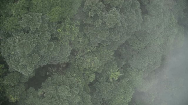 Top down aerial video of Tamarin Falls Waterfall , Hongkok Ngong Ping 360