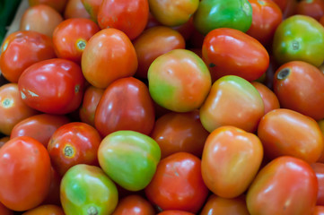 fresh tomatoes photo