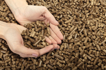 Human hand holding solid wooden pellets