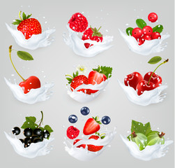 Big collection of icons of fruit and berries in a milk splash. R