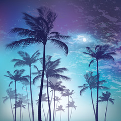 Silhouette of palm tree in moonlight. Vector illustration