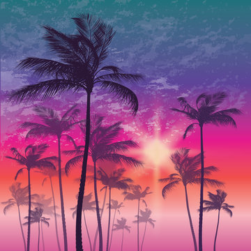 Tropical palm tree and sunset sky. Vector illustration