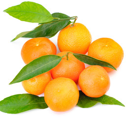 orange fruits with leaf on white background