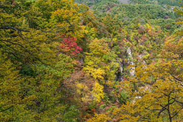 Naruko Gorge in autumn