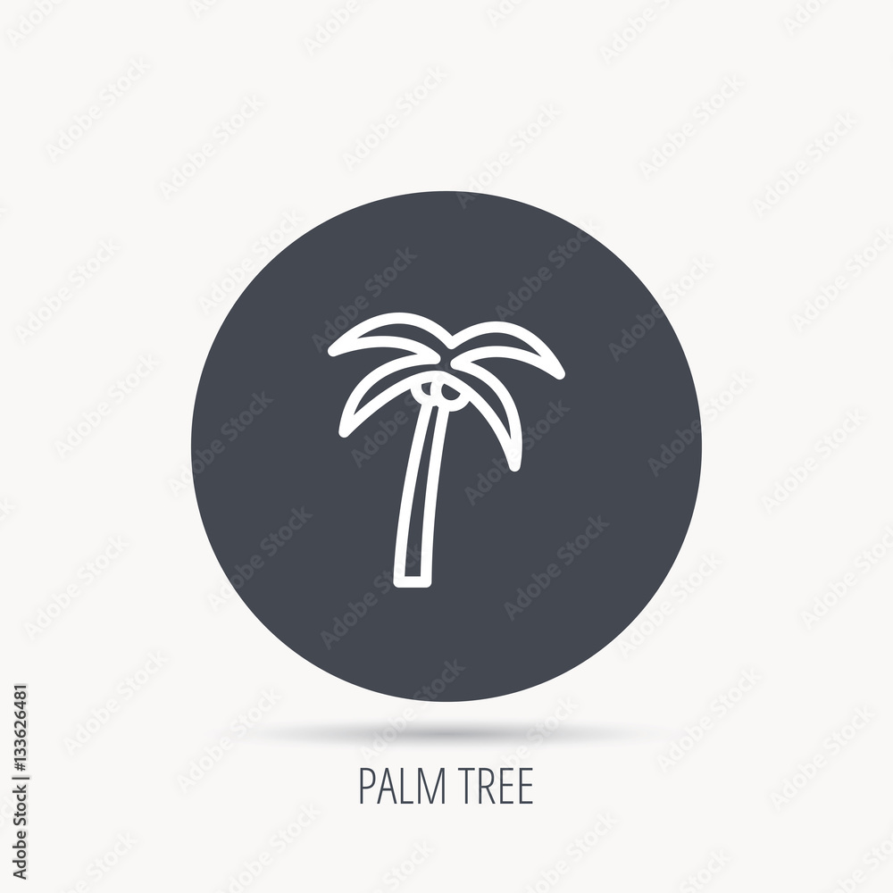 Poster palm tree with coconuts icon. travel or vacation symbol. nature environment sign. round web button w