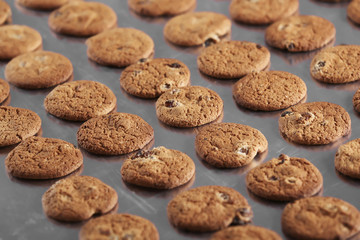 Fototapeta na wymiar Production line of baking cookies, closeup