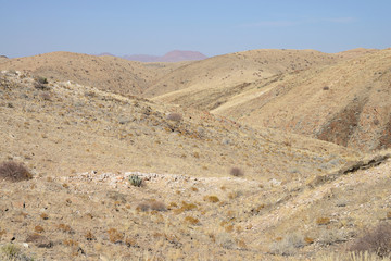 Namib Naukluft National Park, Namibia