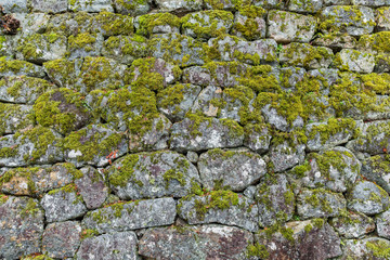 Brick wall texture