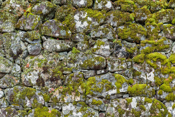 Brick wall texture with lichen