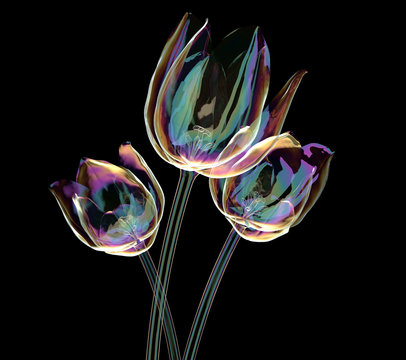 color glass flower isolated on black , the tulip