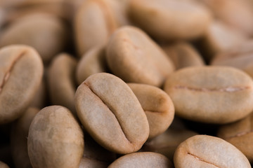 Un-roast arabica raw coffee beans
