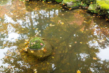 Obraz na płótnie Canvas Autumn season landscape in Japanese garden