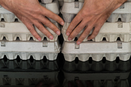 Man hands holding arranged egg boxes on a table