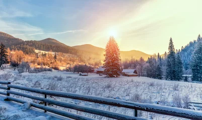 Photo sur Plexiglas Hiver Winter mountain landscape. frosty sunny morning in the mountain village, with overcast sky on the background. pine tree under sunlight on the hill. christmas holiday concept,