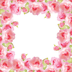 Beautiful floral background with pink roses. Isolated 