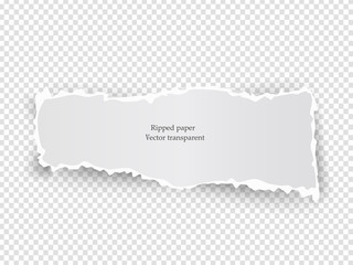 White vector elongate paper tear with soft shadow isolated on transparent background.