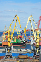 Bulk cargo ship under port crane