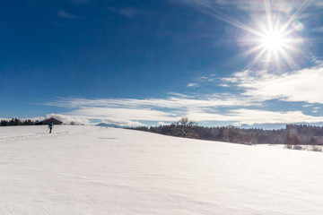 Fototapeta na wymiar Ein Langläufer läuft mit seinen Skiern über die verschneiten Felder