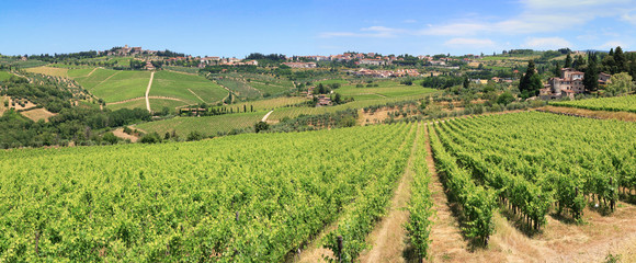 Fototapeta na wymiar Paysage de vignobles en Chianti