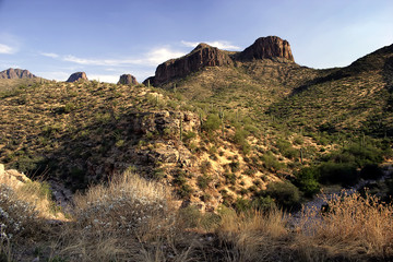 Desert near Phoenix Arizona