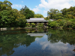 春の香り漂う一輪