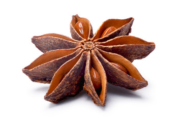 Single Star anise (dried Ilicium fruit), paths