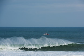 Breaker of Nazare, Portugal / Breaker of Atlantic Ocean at Nazare, Portugal, 