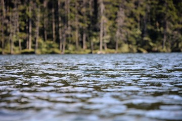 Fototapeta premium Water surface, Lake