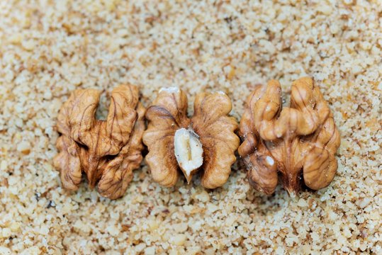 Walnuts are a tree nut belonging to the walnut family.These nuts are rich in omega-3 fats and contain higher amounts of antioxidants than most other foods. Eating walnuts may improve brain health.