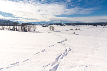 Fußspuren im Tiefschnee führen über die verschneiten Felder