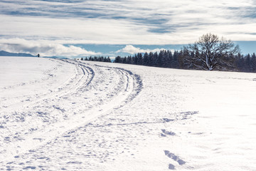 Fototapeta na wymiar Langlaufloipe entlang des Winterwaldes