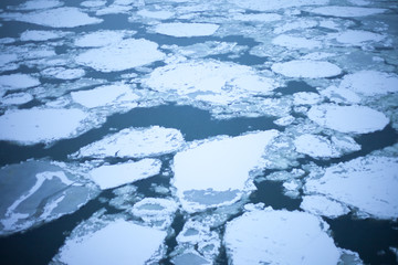 Ice floating in the river Danube
